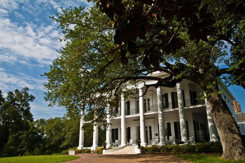 Dunleith Historic Inn 나체스 외부 사진